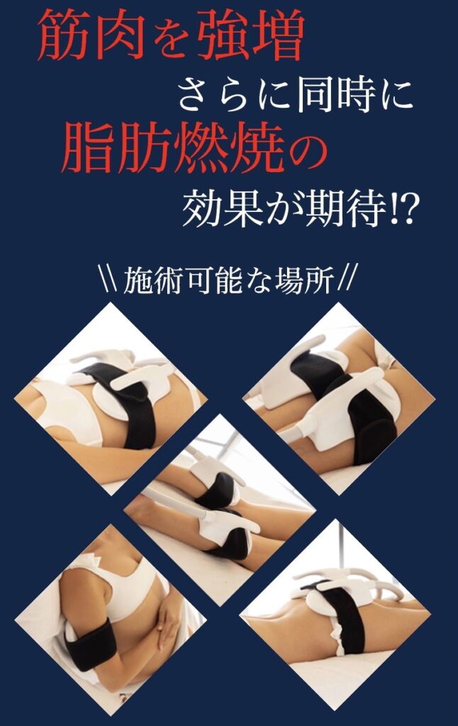筋肉を強増 さらに同時に脂肪燃焼の効果が期待!?