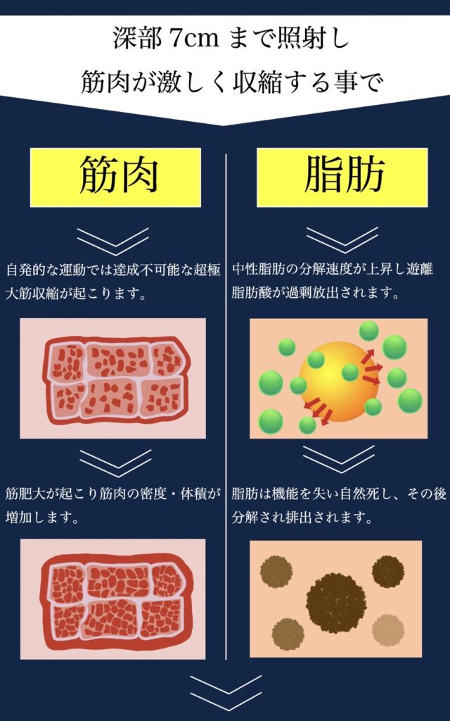 深部 7cm まで照射し 筋肉が激しく収縮する事で